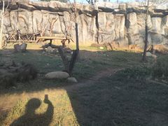-武汉动物园