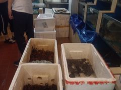 -胶东海鲜大排档(北太平庄店)