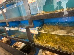 -华盛丰温州大排档(东三环南路店)