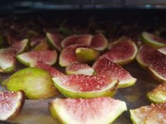 -新塘水果乐园(东洲大道店)