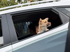 -敬亭山风景名胜区