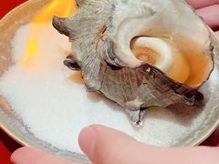 -橼舍鮨青木