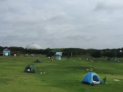 -武汉紫薇都市田园