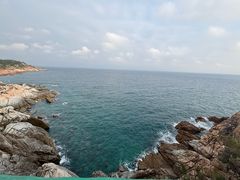 -广东惠东海龟国家级自然保护区