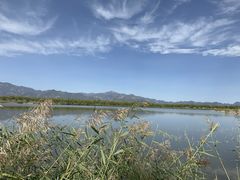 -野鸭湖国家湿地公园