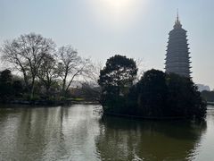 -红梅公园