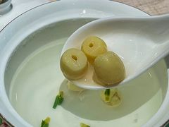 -T館·花园艺术餐厅