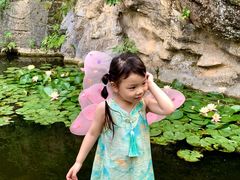 -富乐山