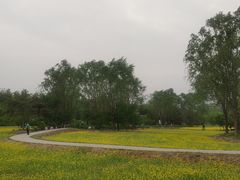 -北坞公园