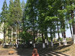 -四川大学江安校区小吃城