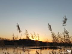 -马家湾湿地公园