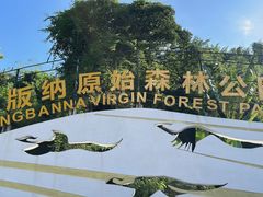 -西双版纳原始森林公园