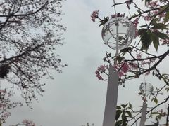 -宝墨园景区