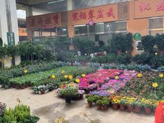 -海吉星国际农产品物流管理有限公司