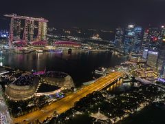 -新加坡瑞士史丹福酒店