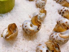 -蠔爺王志德生蚝馆(金沙湾店)