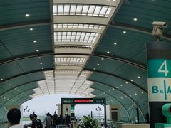 -龙阳路磁悬浮列车总站-停车场