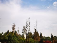 -习家池