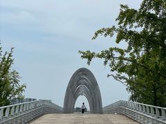 -大兴滨河森林公园