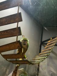 -未来动物城主题公园(正弘城店)