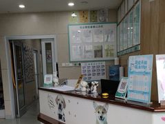 -谐和益家动物医院·免疫绝育·血液透析·宠保定点医院(高新伊藤分院)