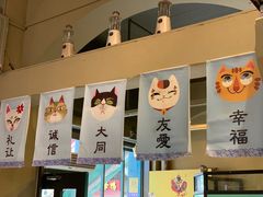 -猫咪博物馆(顶澳仔猫街店)