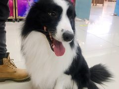 -乐宠宠物店(世纪金源店)