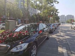 -蚂蚁婚车