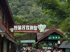 -野象谷景区