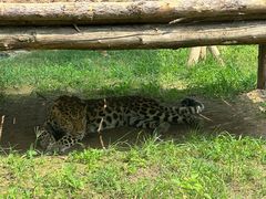 -石家庄市动物园