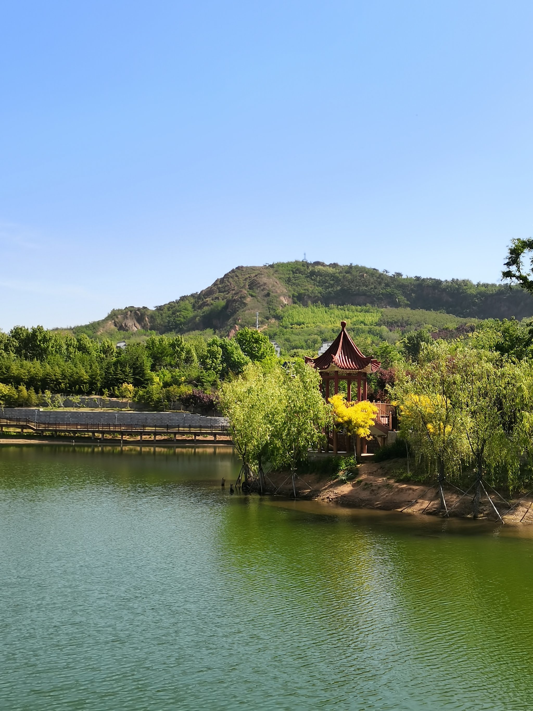 十梅庵公园🏞️