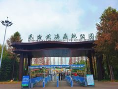 -黄海国家森林公园