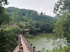 -广州白江湖森林公园