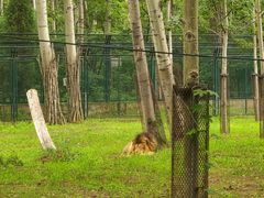 -秦皇岛野生动物园