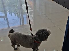 -天宠宠物医院24小时·急重症诊疗中心·全科·腔镜特色(和平分院)