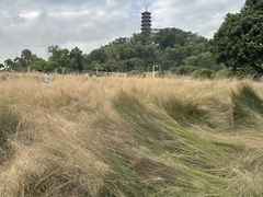 -红花山公园