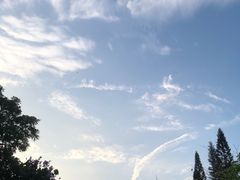 -荔枝公园(福田区)