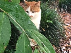 -苏州河梦清园环保主题公园