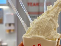 -野人牧坊Gelato(天津南开大悦城店)