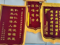 -中农国际动物医院24小时·猫科·骨科·急重症中心