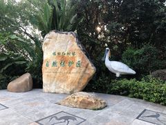 -福田红树林生态公园