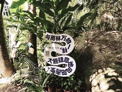 -呀诺达热带雨林