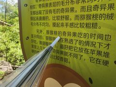 -大岭沟猕猴桃谷风景区
