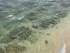 -三亚西岛海洋文化旅游区
