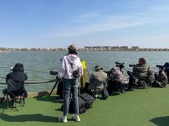 -包头南海湿地景区
