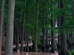 -东湖落雁景区
