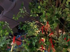 -老牌坊云南鱼豆花火锅(哈西万达店)