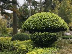 -江头公园