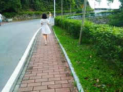 -火炉山森林公园