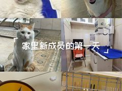 -亚宠动物医院·芭比堂宠物医院(盘龙店)